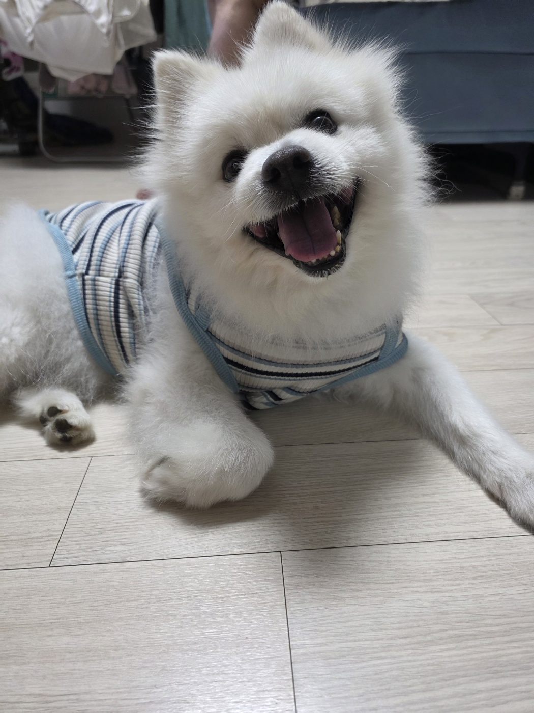 KakaoTalk_20250830_193947201.jpg