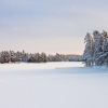 Landscape in Snow