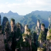 Forest Pillars