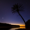 A Tree And Stars